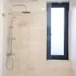 The 